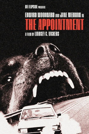 The Appointment 28