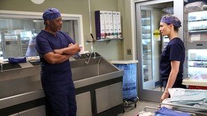 Grey’s Anatomy 12 x Episodio 4