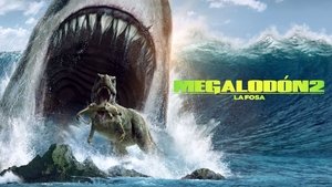 Images posters