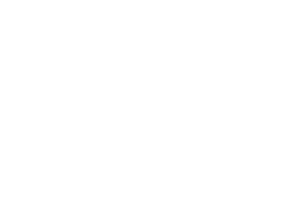 Zack e Cody: Gêmeos a Bordo