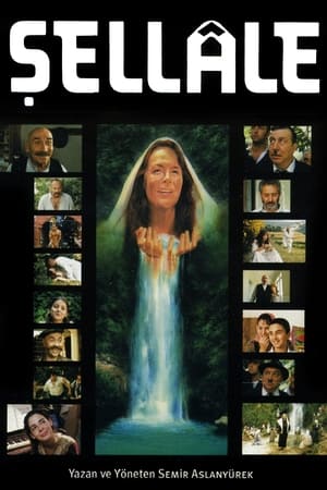 Poster The Waterfall 2001