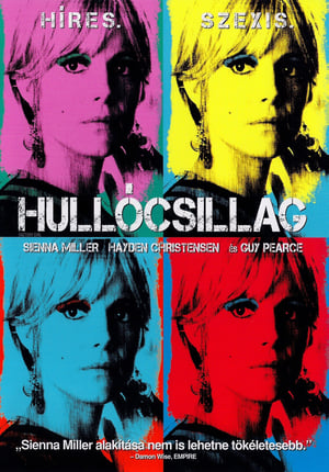 Poster Hullócsillag 2006