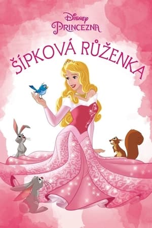 Poster Šípková Růženka 1959