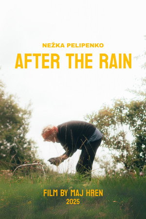 After The Rain