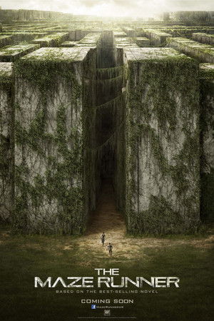 poster The Maze Runner