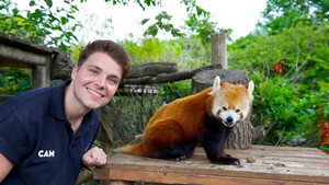 One Zoo Three