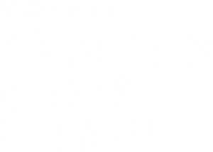 Summer Camp Island