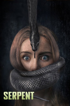 Görsel #138974