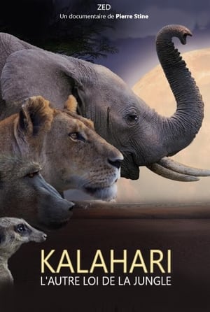 Poster Kalahari, l'autre loi de la jungle (2021)