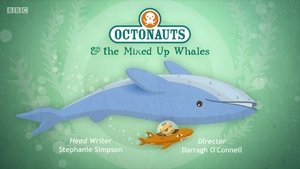 The Octonauts Season 1 Episode 23