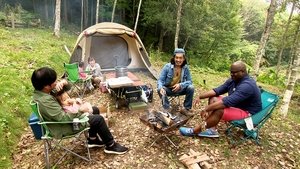 Journeys in Japan: 11×19