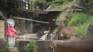 Japanology Plus: 11×13