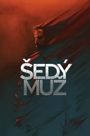 Šedý muž