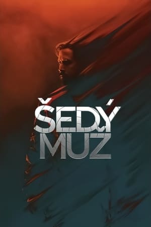 Poster Šedý muž 2022