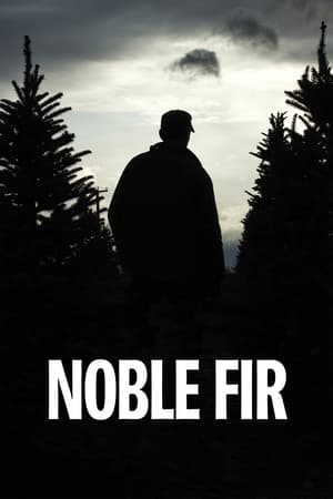 Poster Noble Fir 2014