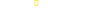 Império Selvagem — Logos 4