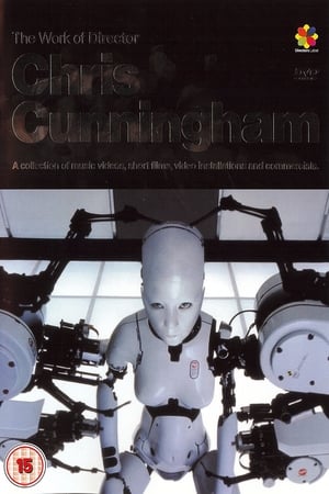 Image The Work of Director Chris Cunningham