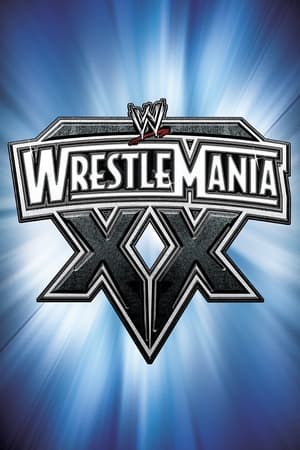 WWE WrestleMania XX (2004) | Team Personality Map