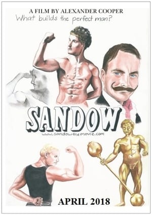 Poster Sandow (2018)