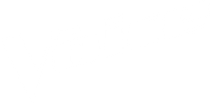 The Voice — Logos 4