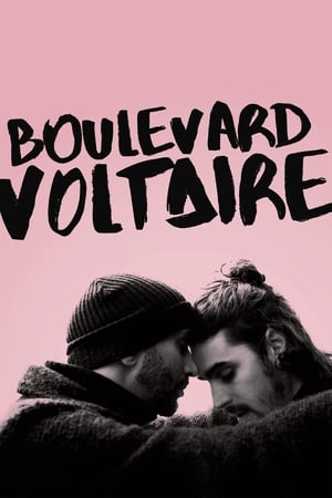 Image Boulevard Voltaire