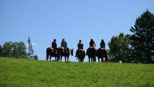 فيلم Blood Lines 2025 مترجم