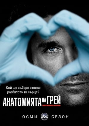 poster Grey's Anatomy - Season 13