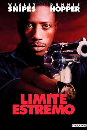 Poster Limite estremo 1993