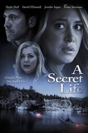 Poster His Secret Family 2015