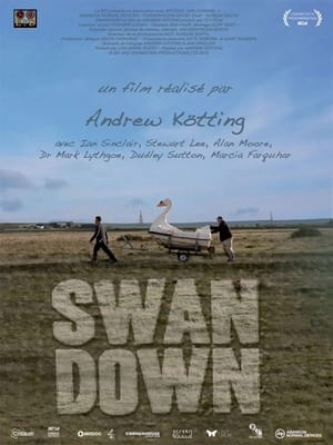 Poster Swandown (2012)