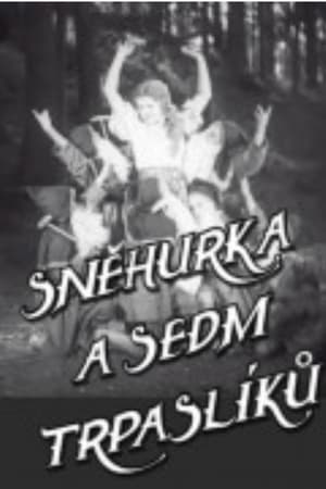 Poster di Sněhurka a sedm trpaslíků