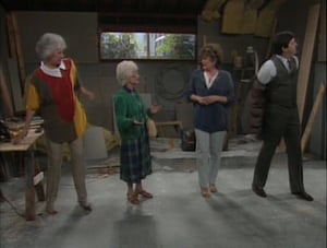 The Golden Girls Rose's Big Adventure