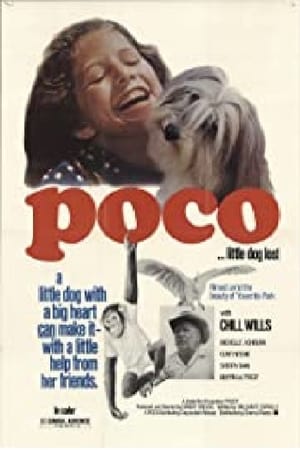 Poco… Little Dog Lost poster