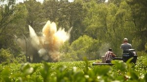 Image Blast in the Bayou