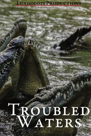 Poster Troubled Waters (1993)