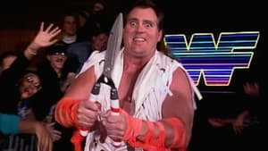 February 15, 1993 - Raw #5