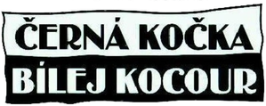 Black Cat, White Cat — Logos 5
