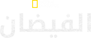 The Flood — Logos 1