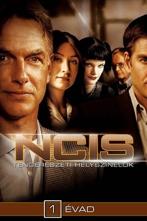 Agenci NCIS: Sezon 1