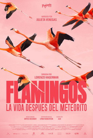 Flamingos: Life After the Meteorite (2026)