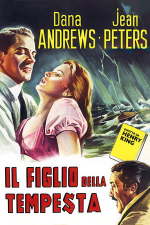 Image Il figlio della tempesta