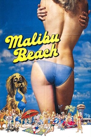 Poster Malibu Beach (1978)