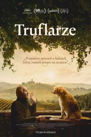 Truflarze Truflarze