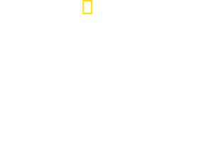When Sharks Attack — Logos 3