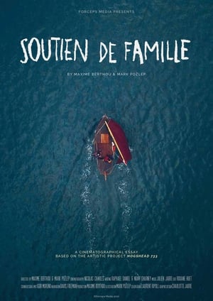 Soutien de famille film complet