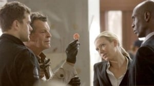 Fringe – Grenzfälle des FBI: 2 Staffel 3 Folge