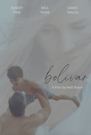 Image Bolivar