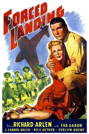 Poster Forced Landing 1941