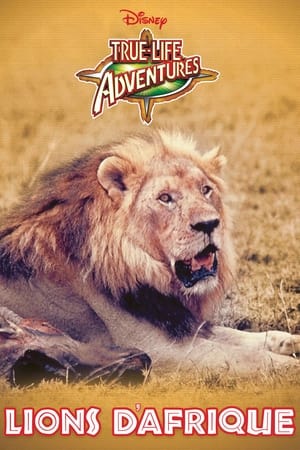 Lions d'Afrique 1955