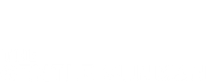 The Gentle Gunman